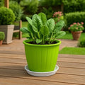 GoHooked green plastic planter pot with tray, 8-inch, for indoor/outdoor gardening.