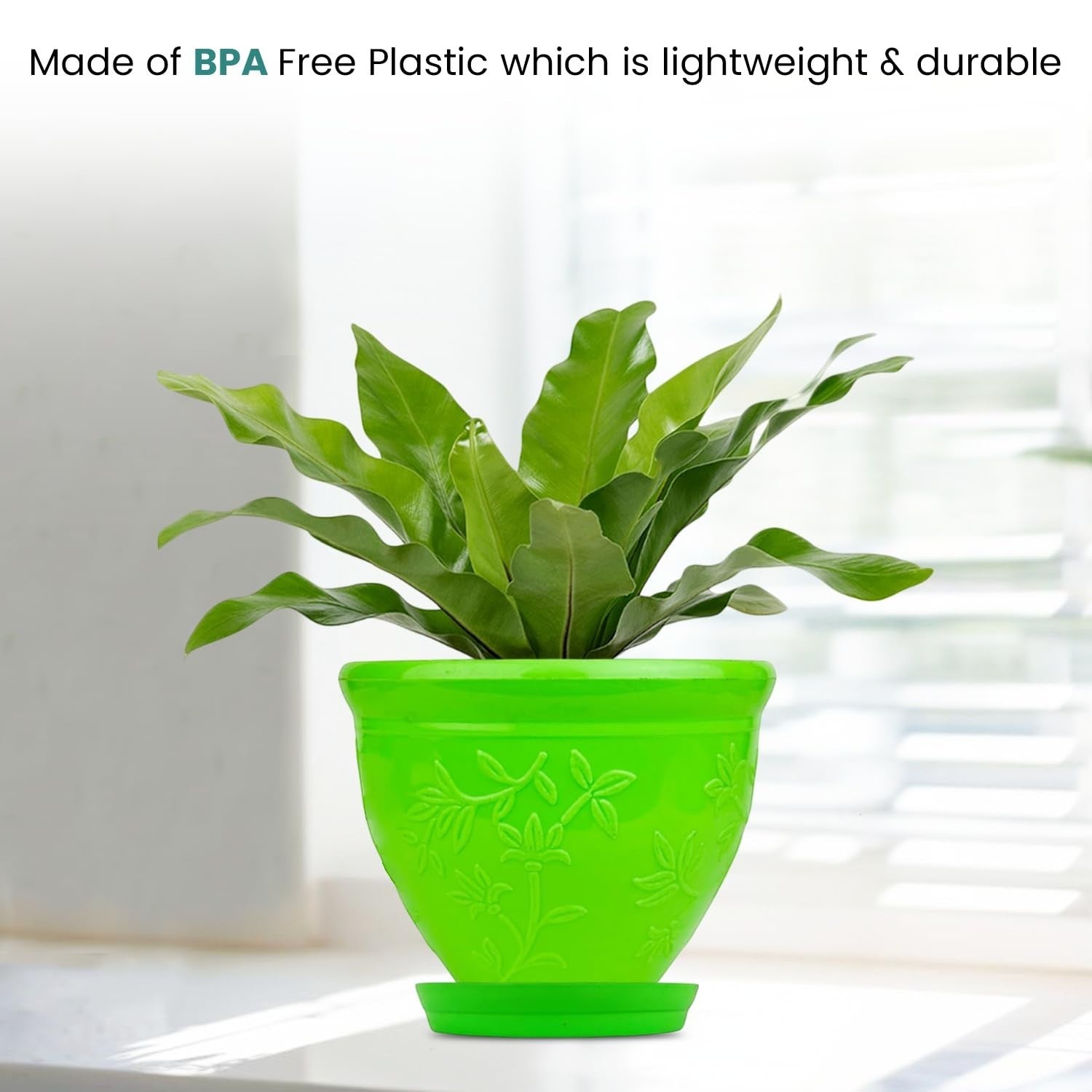 Go Hooked green plastic planter pot with embossed floral design and matching saucer, holding a bird's nest fern.