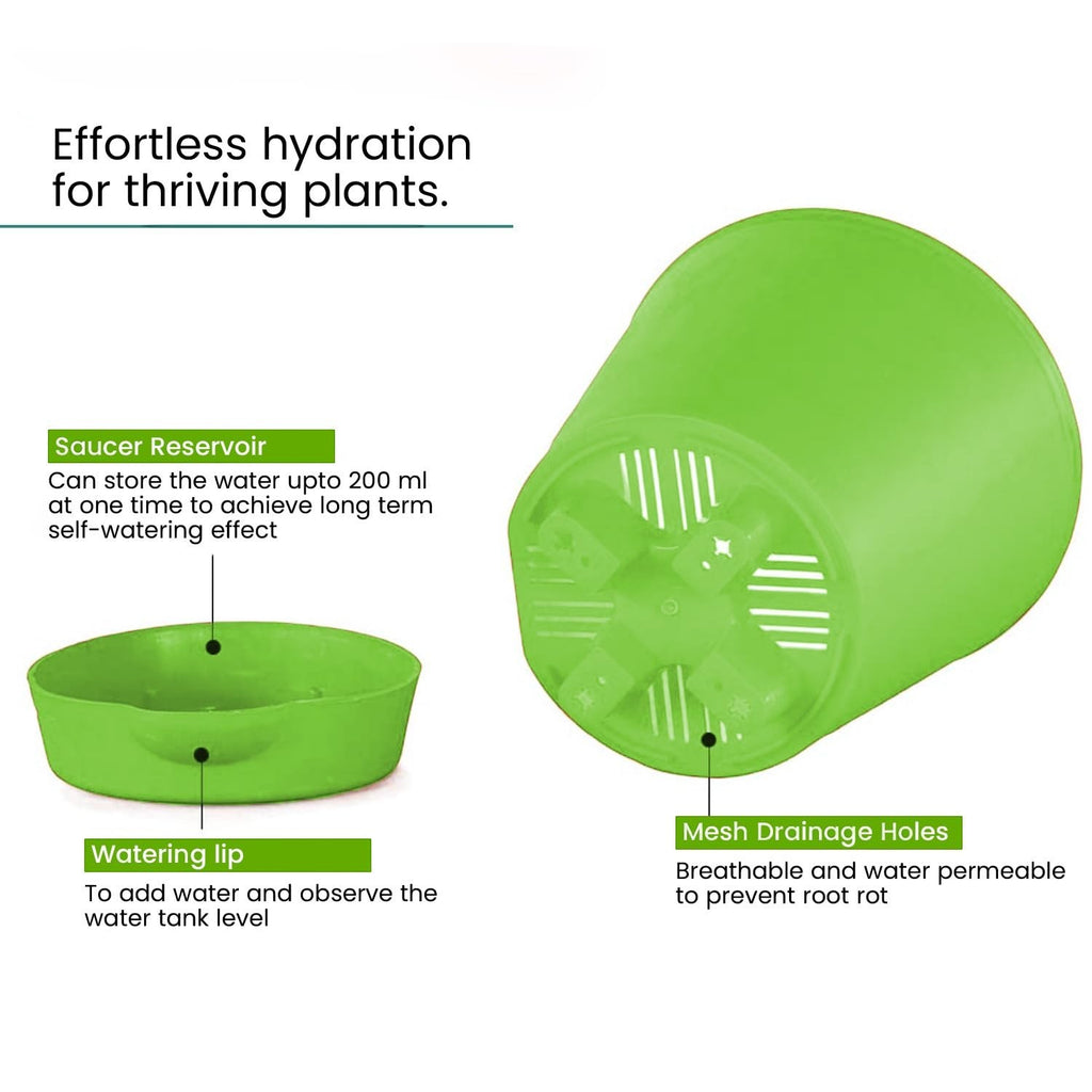 GoHooked green plastic planter with saucer reservoir and mesh drainage holes for self-watering.