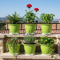 GoHooked 8-inch green plastic planters with trays, set of 6, for indoor/outdoor gardening.