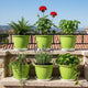 Go HookedPlastic Duro Flower Pot for Gardening, Indoor/Outdoor Planter-Green (8 Inch)(Pack of 6 with Tray)