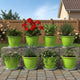 Go HookedPlastic Duro Flower Pot for Gardening, Indoor/Outdoor Planter-Green (8 Inch)(Pack of 8 with Tray)