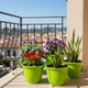 GoHooked 4 Pack Lightweight Plant Pots