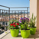 Go Hooked Sunshine Flower Pot/Planters for Home Decor, Plastic Pots for Gardening/Home, Flower Pots Indoor-Outdoor & Planter for Plants (Green) (Pack of 4)