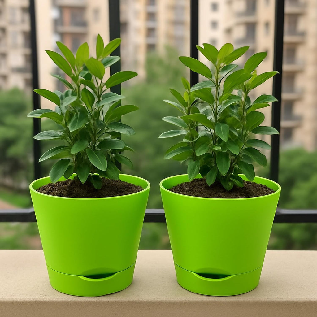 Go Hooked set of 2 bright green plastic planters with drainage, holding small green plants.