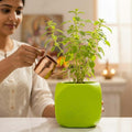 GoHooked green plastic square Tulsi plant pot with Hindu religious symbols, 17.5 cm, for home and pooja room.