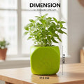 GoHooked green square plastic Tulsi pot with Hindu religious symbols, 17.5 cm, for home and pooja room.