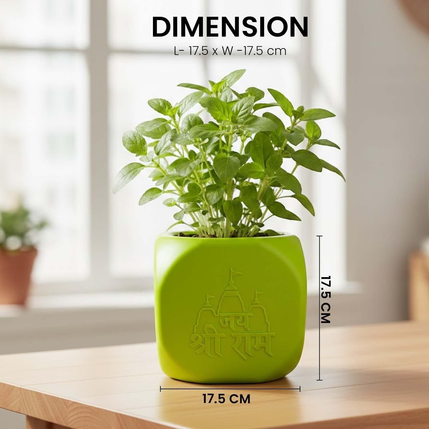 GoHooked green square plastic Tulsi pot with Hindu religious symbols, 17.5 cm, for home and pooja room.