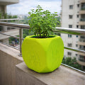 GoHooked green plastic Tulsi pot with Hindu symbols, lightweight and durable for home or pooja room.