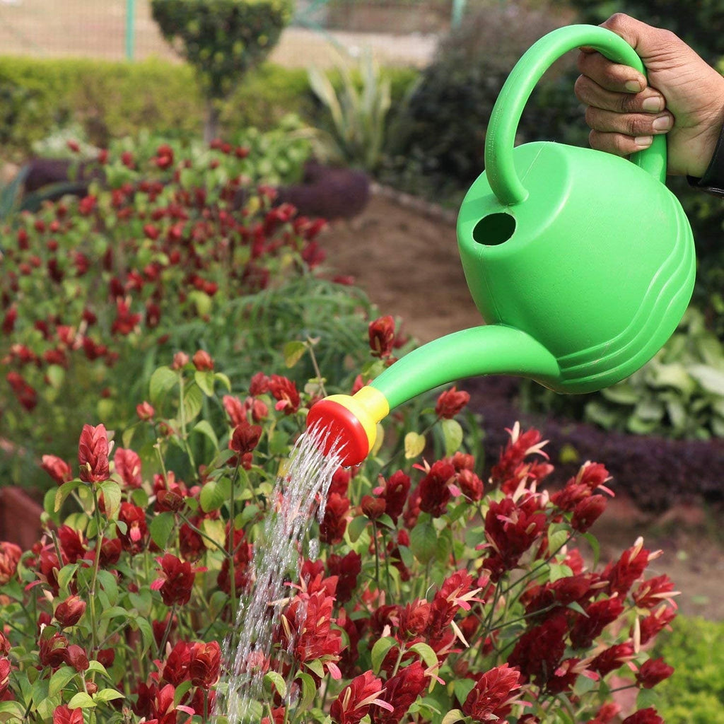 GoHooked Premium green plastic watering can with a red and yellow nozzle, watering red flowers in a garden.