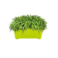 GoHooked green rectangular plastic plant pot with lush green fern.