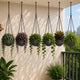 Go Hooked Henri Hanging Planter Pot for Indoor & Outdoor Plants Pack of 6 | 7 Inch Plastic Hanging Pots with Metal Chain | Decorative Round Hanging Planter for Balcony, Garden & Home Décor (Grey)