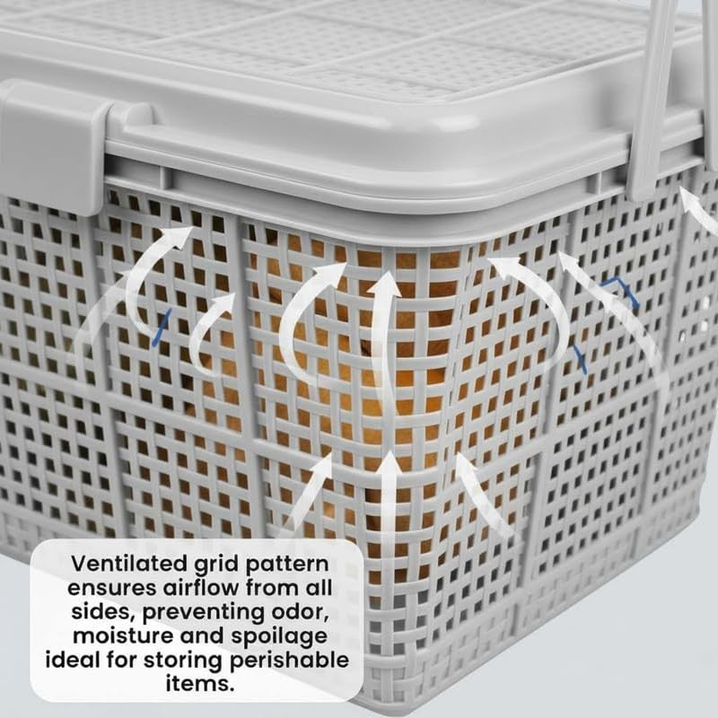 GoHooked grey plastic picnic storage basket with lid and handle, ventilated grid pattern.
