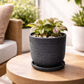 GoHooked 10 inch grey polymer planter pot with ribbed texture and matching saucer, holding a small plant.