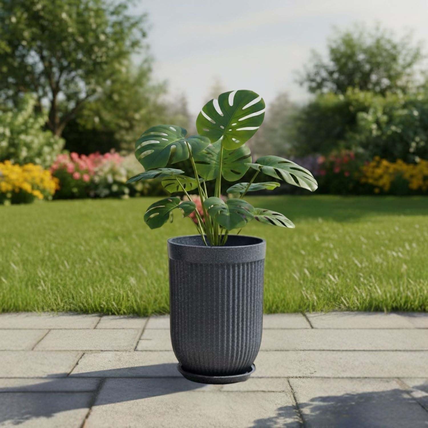 GoHooked 18 inch grey polymer planter with ribbed design and matching saucer, holding a large Monstera plant.