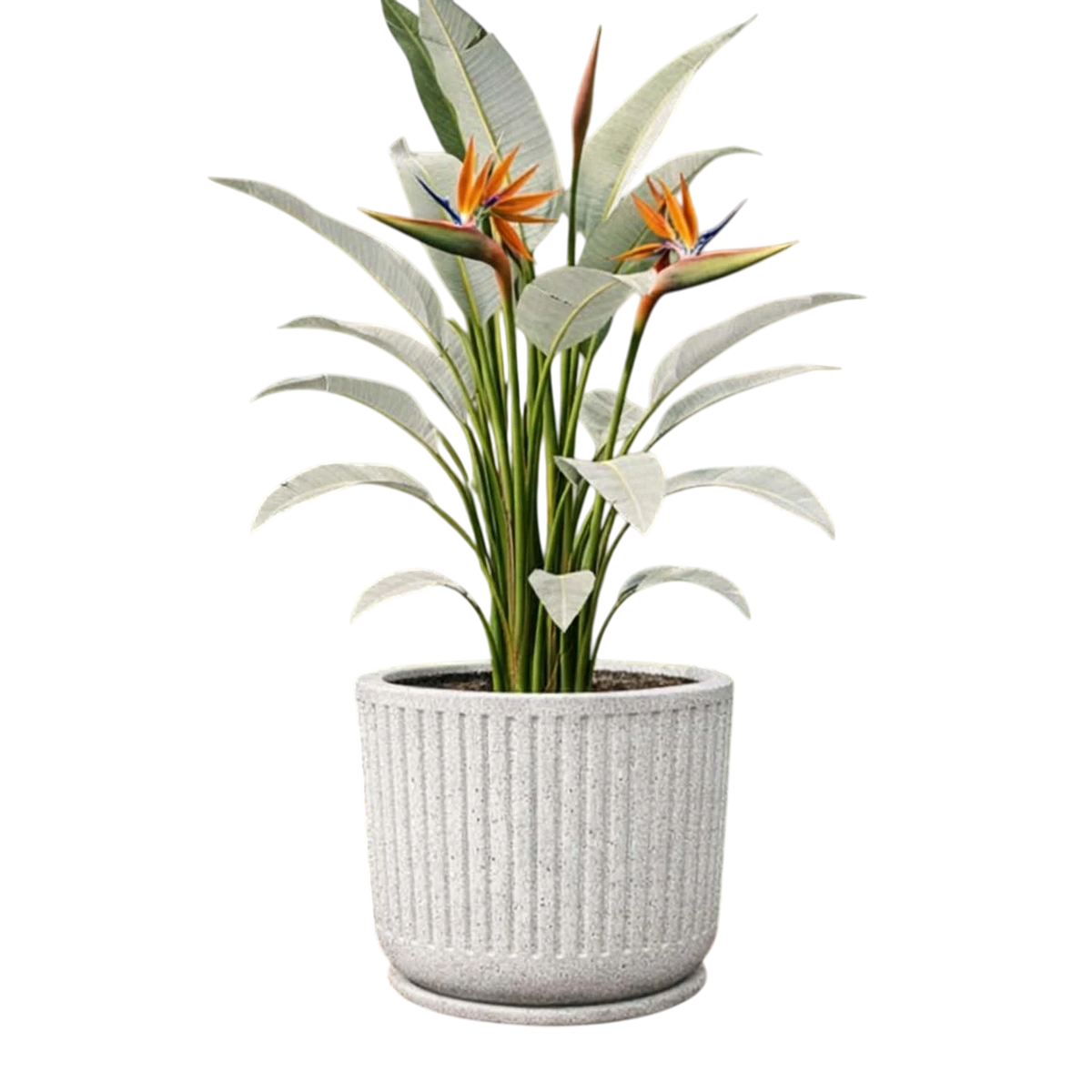 Go Hooked Cosmic Round Planter Pot with Tray (12×11 Inch, Grey) | Granite Speckled Ribbed Polymer Design | Decorative Plastic Flower Pot for Indoor Outdoor Plants, Balcony & Home Garden Décor