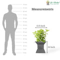 Go Hooked 16 inch grey traditional decorative planter with Swastik symbol, perfect for home and garden decor.