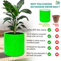 GoHooked bright green 9-inch HDPE fabric grow bag with a plant, ideal for vegetables, herbs, and flowers.