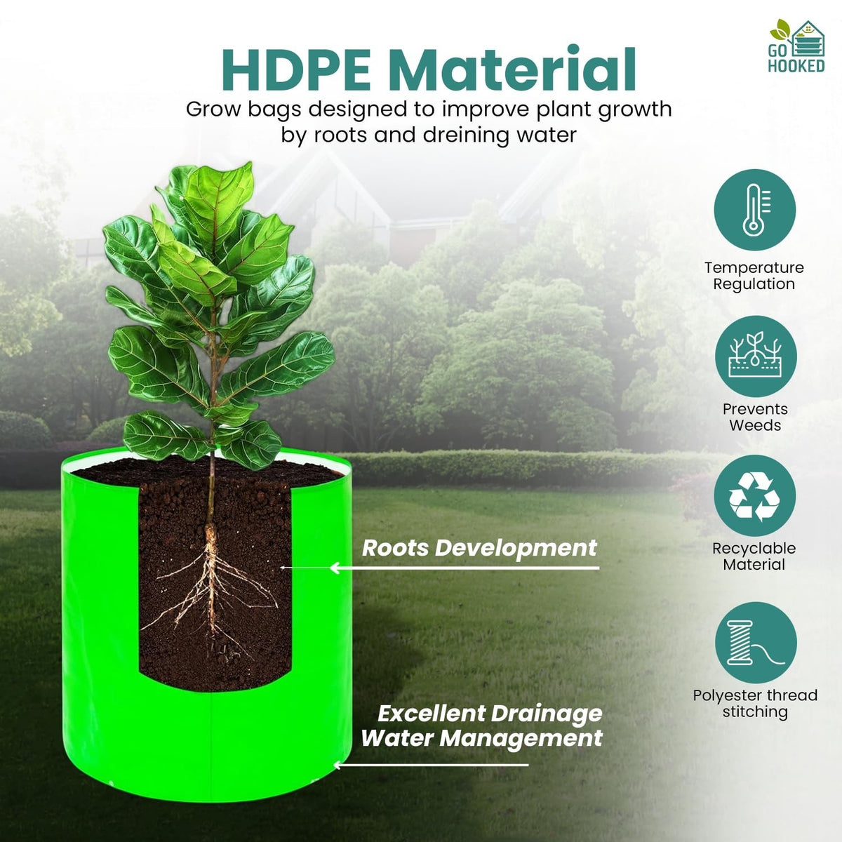 GoHooked green HDPE grow bag with plant showing root development and excellent drainage. Features temperature regulation, weed prevention, and recyclable material.