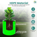 GoHooked green HDPE grow bag with a plant showing root development, excellent drainage, and water management. Features include temperature regulation, weed prevention, and recyclable material.