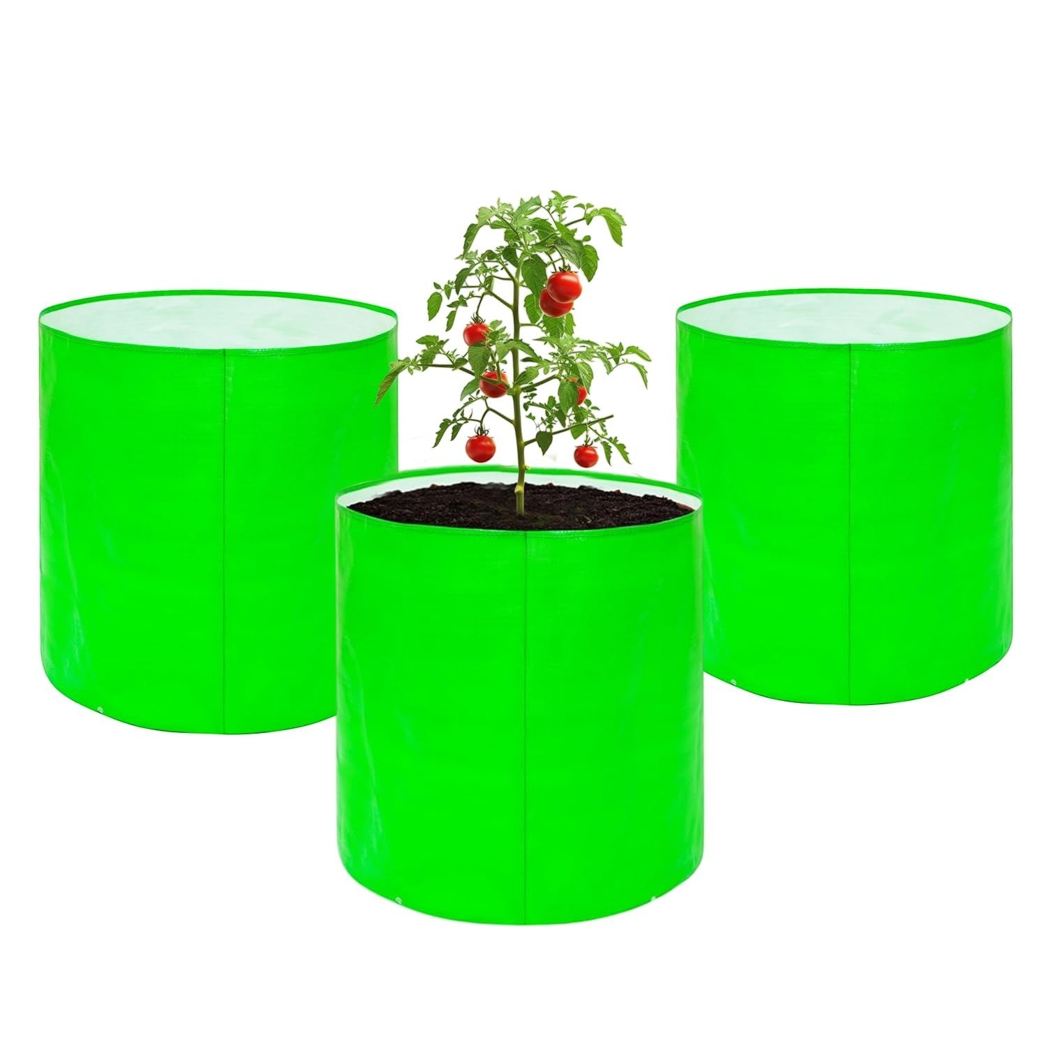 Go Hooked set of 3 bright green 9-inch heavy-duty grow bags, one with a tomato plant.