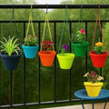 Go Hooked Juhi set of 6 multicolor plastic & iron hanging plant containers, 9 inch.