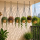 Go Hooked Henri Hanging Planter Pot for Indoor & Outdoor Plants Pack of 6 | 7 Inch Plastic Hanging Pots with Metal Chain | Decorative Round Hanging Planter for Balcony, Garden & Home Décor (Sandstone)
