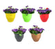 Go Hooked Hanging Unbreakable Plastic Planters for Plants, Railing Flower Pots, Balcony Railing Vertical Hook for Home Gardening (Multicolor, Set of 5)