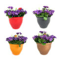 GoHooked multicolor set of 4 unbreakable plastic hanging planters with purple flowers. Ideal for balcony railings and home gardening.
