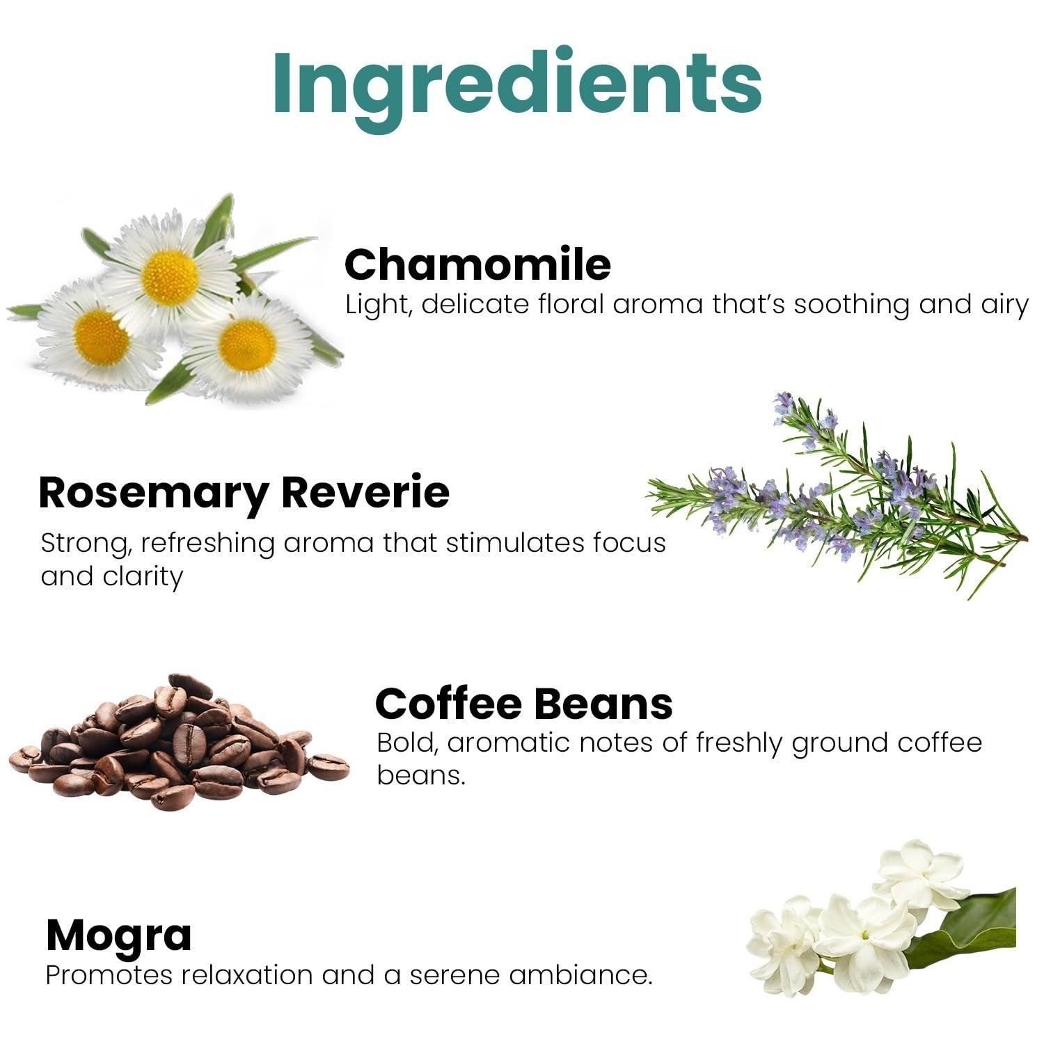 GoHooked Ingredients: Chamomile, Rosemary Reverie, Coffee Beans, and Mogra for aromatherapy and home decor.