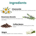 GoHooked Ingredients: Chamomile, Rosemary Reverie, Coffee Beans, and Mogra for aromatherapy and home decor.
