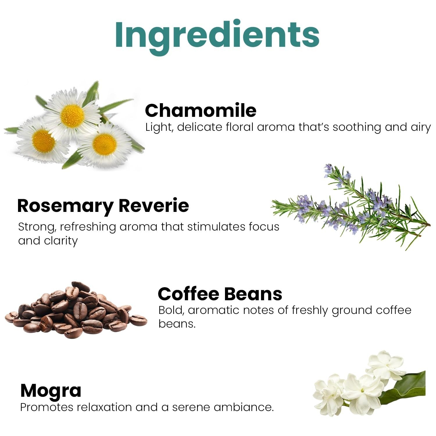 GoHooked Ingredients: Chamomile, Rosemary Reverie, Coffee Beans, and Mogra for aromatherapy and home decor.