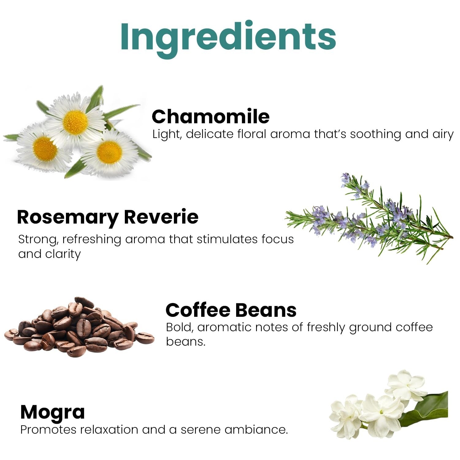 GoHooked Ingredients: Chamomile, Rosemary Reverie, Coffee Beans, and Mogra for aromatherapy and home decor.