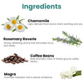 GoHooked Ingredients: Chamomile, Rosemary Reverie, Coffee Beans, and Mogra for aromatherapy and ambiance.
