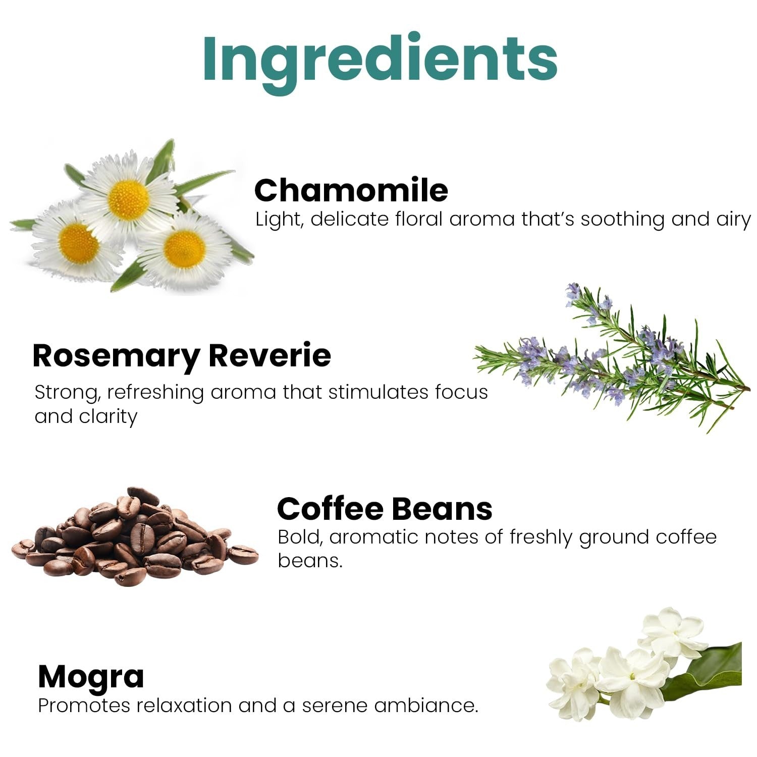 GoHooked Ingredients: Chamomile, Rosemary Reverie, Coffee Beans, and Mogra for aromatherapy and ambiance.