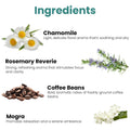 GoHooked Ingredients: Chamomile, Rosemary Reverie, Coffee Beans, Mogra. Aromatherapy for relaxation and ambiance.