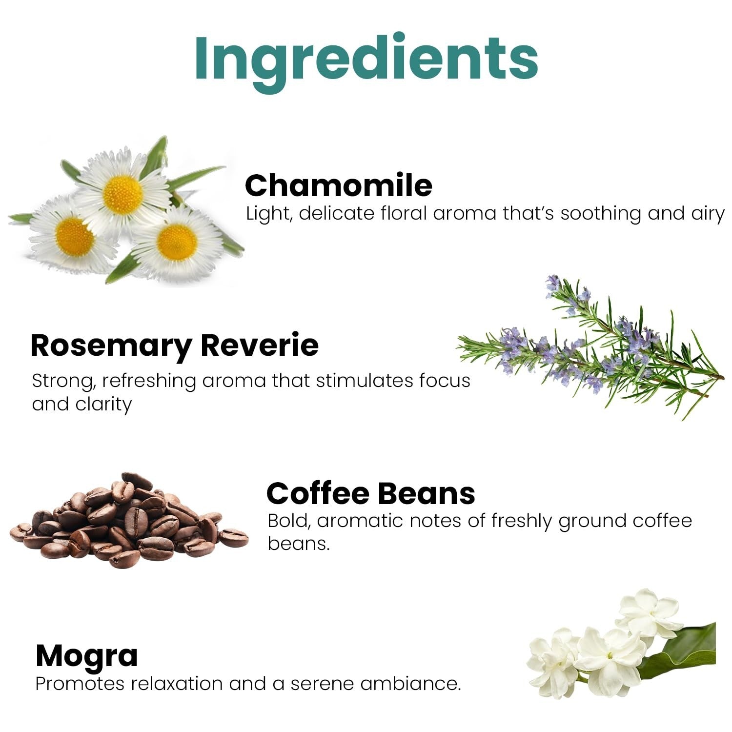 GoHooked Ingredients: Chamomile, Rosemary Reverie, Coffee Beans, Mogra. Aromatherapy for relaxation and ambiance.