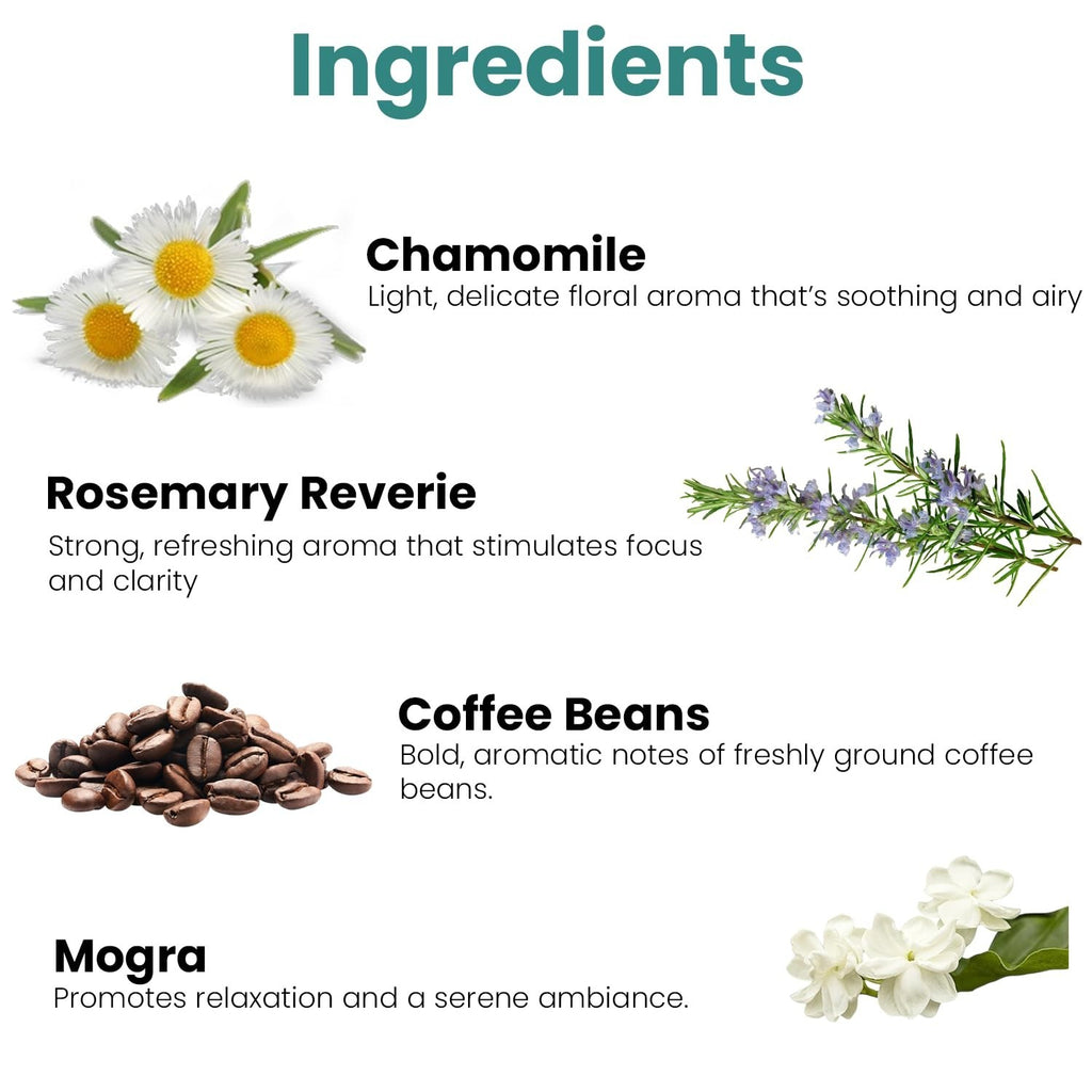GoHooked Ingredients: Chamomile, Rosemary Reverie, Coffee Beans, and Mogra for aromatherapy and ambiance.
