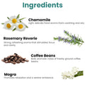 GoHooked Ingredients: Chamomile, Rosemary Reverie, Coffee Beans, and Mogra for aromatherapy and ambiance.