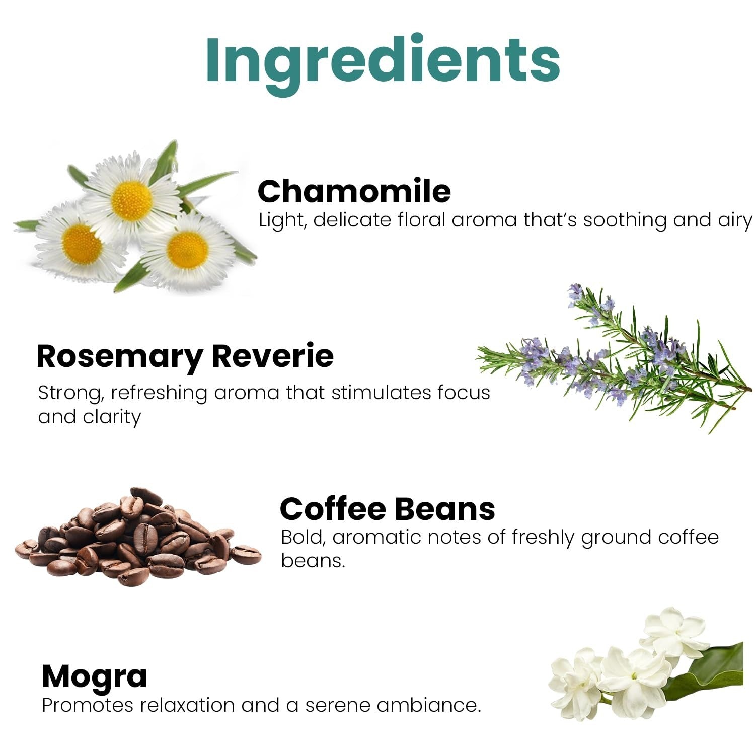GoHooked Ingredients: Chamomile, Rosemary Reverie, Coffee Beans, and Mogra for aromatherapy and home decor.