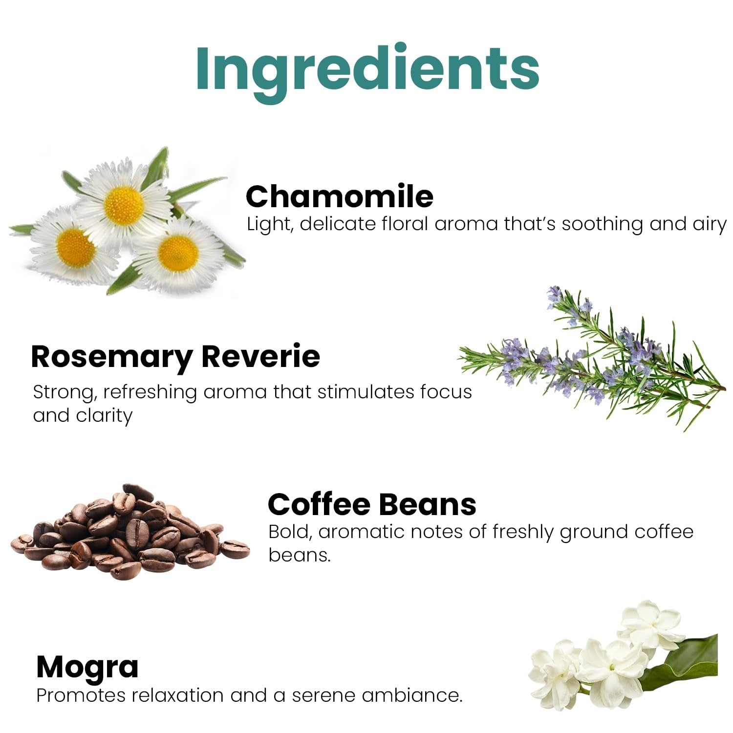 GoHooked Ingredients: Chamomile, Rosemary Reverie, Coffee Beans, and Mogra with descriptions.