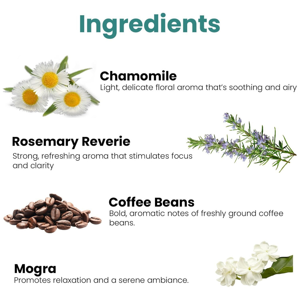 GoHooked Ingredients: Chamomile, Rosemary Reverie, Coffee Beans, and Mogra with descriptions of their aromas.
