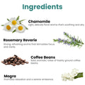 GoHooked Ingredients: Chamomile, Rosemary Reverie, Coffee Beans, and Mogra with descriptions of their aromas.