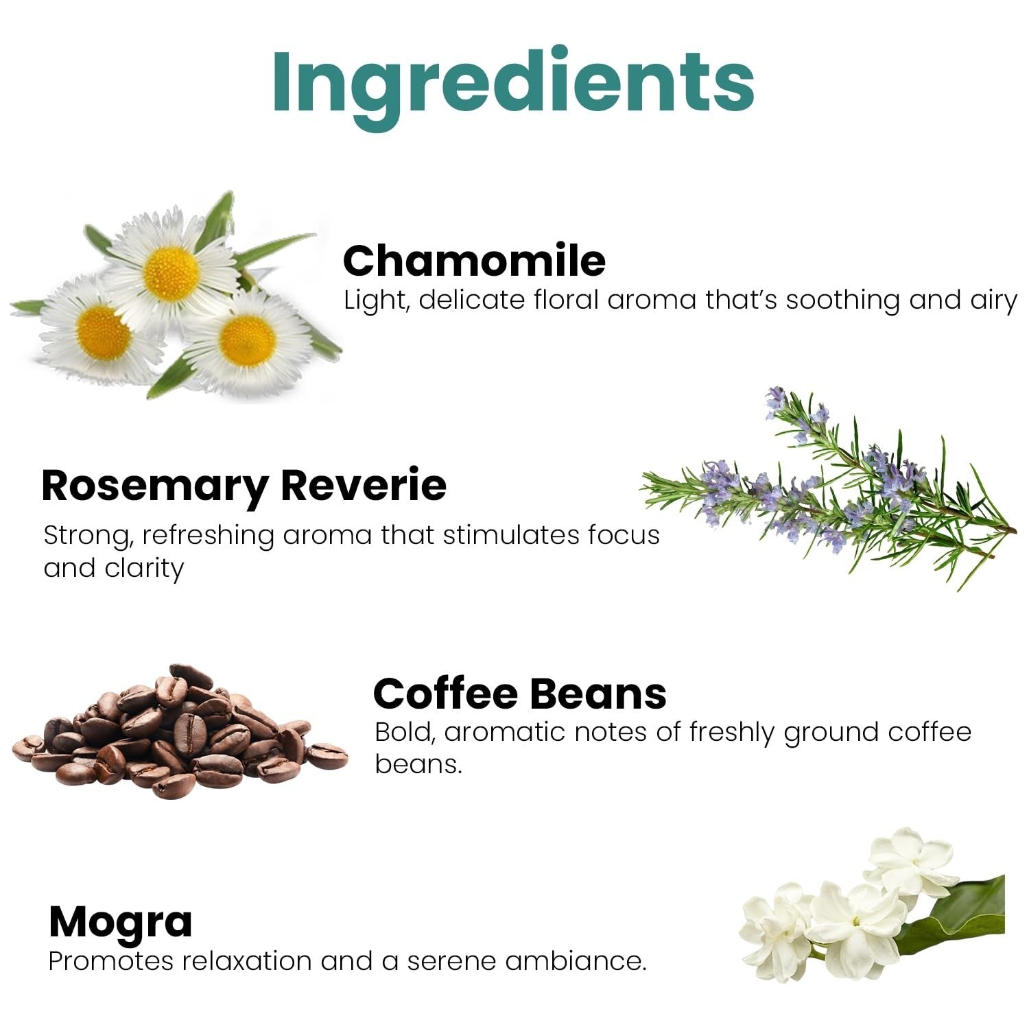 GoHooked Ingredients: Chamomile, Rosemary Reverie, Coffee Beans, and Mogra with descriptions of their aromas.
