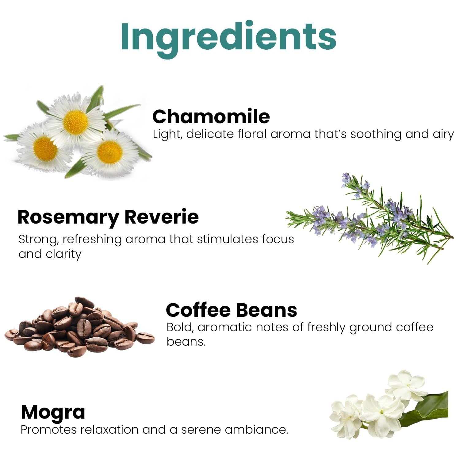 GoHooked Ingredients: Chamomile, Rosemary Reverie, Coffee Beans, and Mogra for aromatherapy and ambiance.
