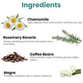 GoHooked Ingredients: Chamomile, Rosemary Reverie, Coffee Beans, and Mogra with descriptions of their aromas and benefits.