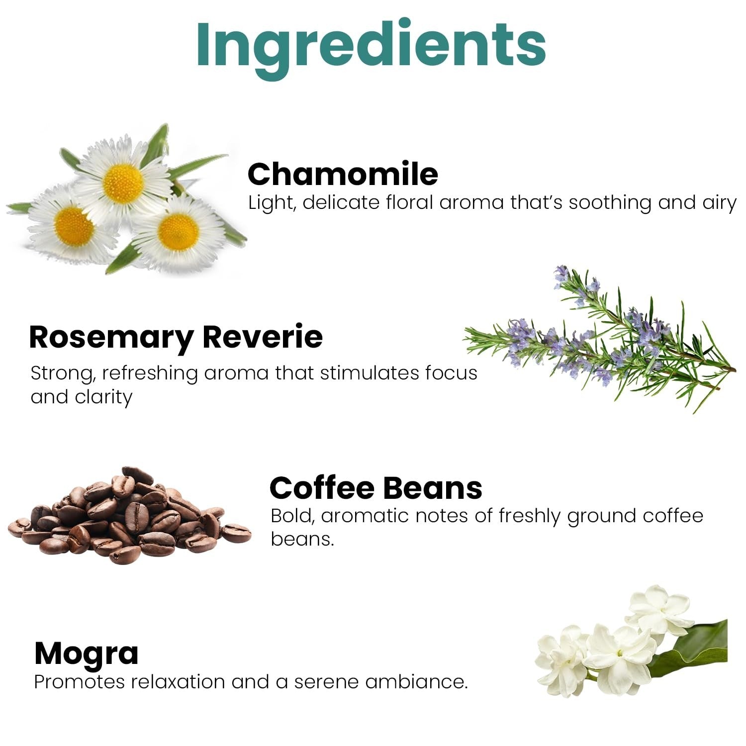 GoHooked Ingredients: Chamomile, Rosemary Reverie, Coffee Beans, and Mogra with descriptions of their aromas and benefits.