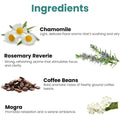 GoHooked Ingredients: Chamomile, Rosemary Reverie, Coffee Beans, and Mogra with descriptions of their aromas.