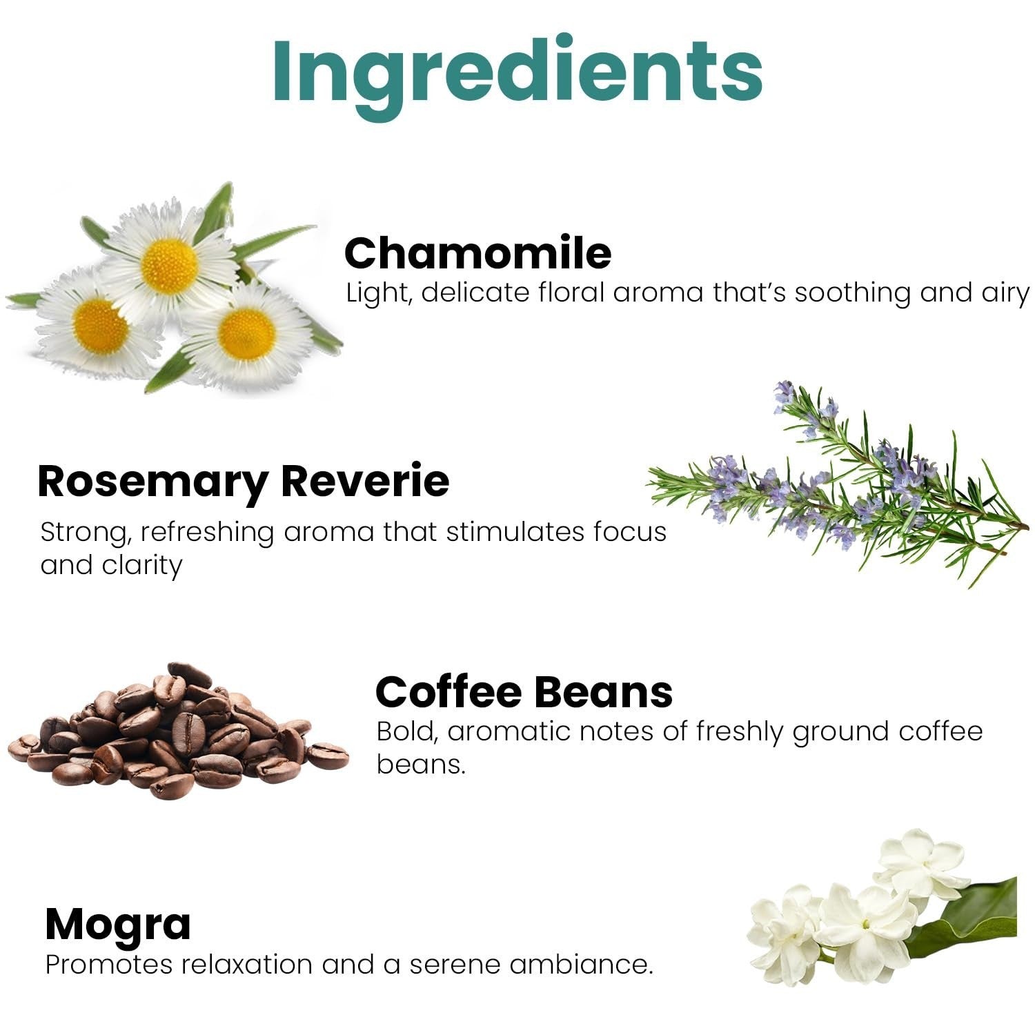 GoHooked Ingredients: Chamomile, Rosemary Reverie, Coffee Beans, and Mogra with descriptions of their aromas.