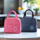 Go Hooked Lunch Bag Pack of 2 for Office, School & Travel | Thermal Oxford Cloth Tote with Leakproof Aluminum Lining | Reusable Lunch Box Carry Bag with Handles for Men & Women (Blue & Pink)